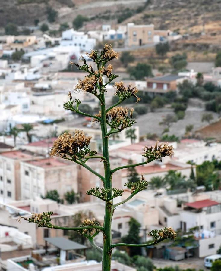 Nijar Bella Y Su Parque Natural Cabo De Gata Kültér fotó